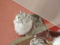 -天虹购物中心(深圳龙华店)