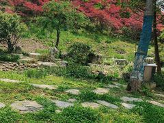 -天河潭旅游度假区