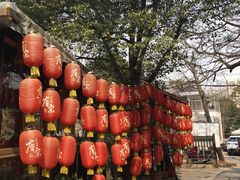 -张鸟园农家乐(张鸟园店)