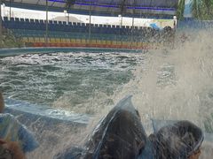 -尼莫海豚馆