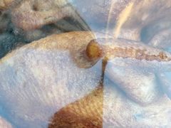 -天和晟烤鸭店(玉泉西街店)