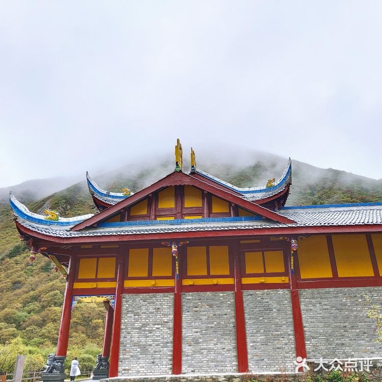 九寨沟~黄龙｜一场说走就走的旅行