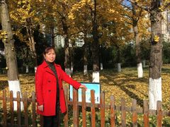 -两江幸福广场