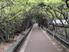 -烟台山景区
