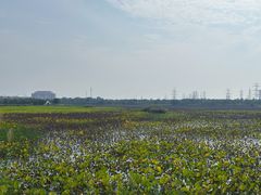 -天津东丽湖风景区