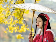 -千年银杏谷文化旅游区