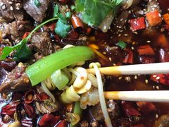 -赵小姐丨新中餐(曲江店)