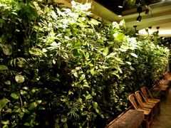 -客语客家菜(东山口店)