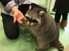 -藦茜花园宠物主题亲子互动体验馆(国顺东路店)