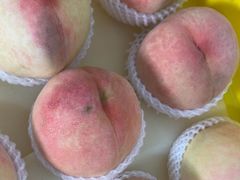 -老袁家蜜桃农场·阳山水蜜桃