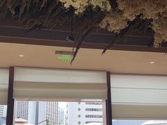 -泰尚臻Siam Essence