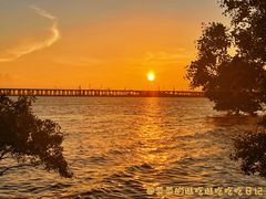 -宝安西湾红树林湿地公园