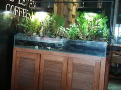 -ELEVEN COFFEE(哈西万达广场店)