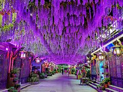 -婺源梦里老家大型山水实景演出