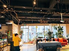 -百好乐宠物友好餐厅(朝外大街店)