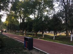 -天鹅湖体育公园