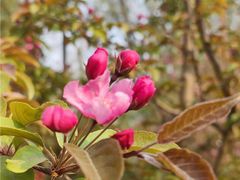 -元大都城垣遗址公园