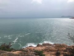 -广东惠东海龟国家级自然保护区