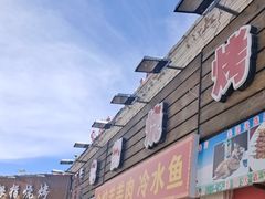 -布尔津河堤夜市