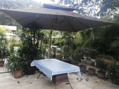 -丫口花园餐厅·融合菜