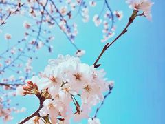 -龙美术馆西岸馆-停车场