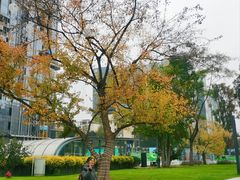 -海合安成都极地海洋公园