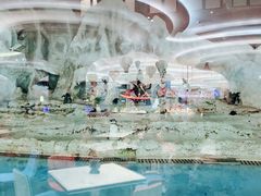 -帝企鹅自助餐厅•儿童岛•真企鹅(长隆企鹅酒店)