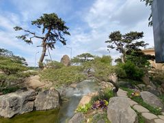 -罗红摄影艺术馆