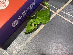 -由衷贵州酸汤牛肉火锅(新桥店)