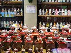 -猫咪博物馆(顶澳仔猫街店)