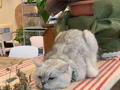 -小时光咖啡馆(北锣鼓巷店)