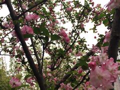 -白鹭湾湿地公园