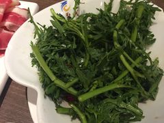 -龙聚德北京烤鸭(沙坪坝华宇A馆店)