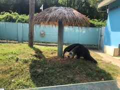 -无锡动物园·太湖欢乐园