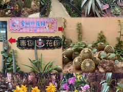 -正佳雨林生态植物园