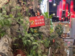 -丰圆轩粤式茶楼 . 点心粤菜(夏茅店)
