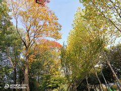 -天鹅湖体育公园