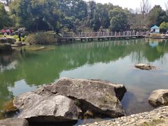 -白马涧龙池景区