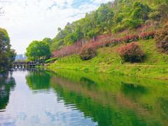 -桃花岭景区