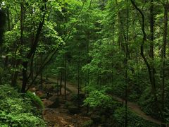 -青城山