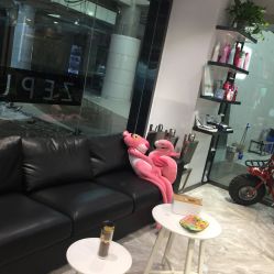 -泽璞堂美发沙龙