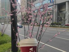 -COSTA COFFEE(上海虹口公园店)
