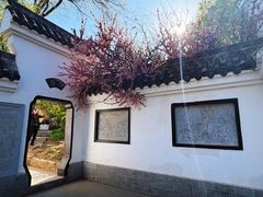 -沈阳植物园