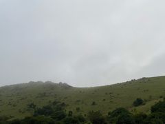 -大姆山草场