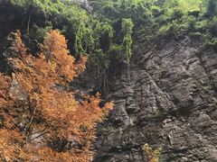 -龙水峡地缝景区