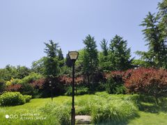 -玲珑塔公园
