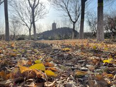 -永定河休闲森林公园