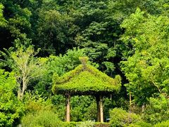 -云溪植物园