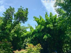 -望江楼公园