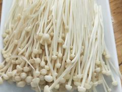 -金勺子原汤椰子鸡